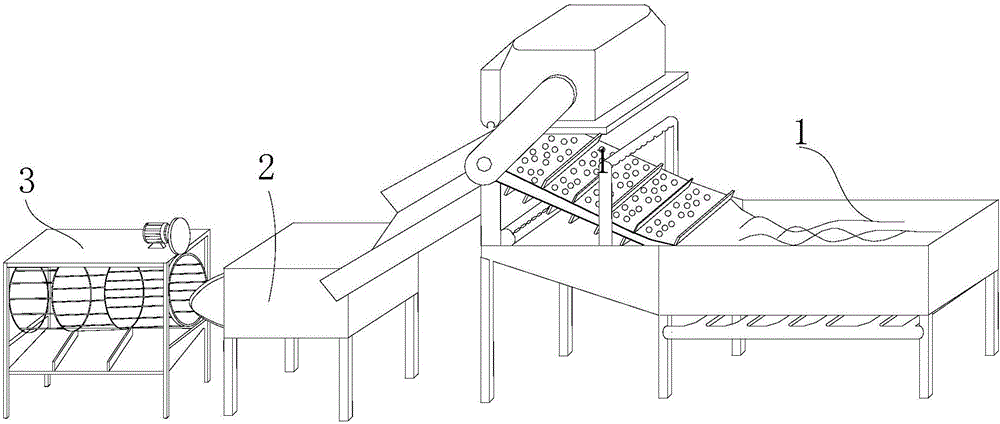 Sweet potato cleaning and sorting equipment