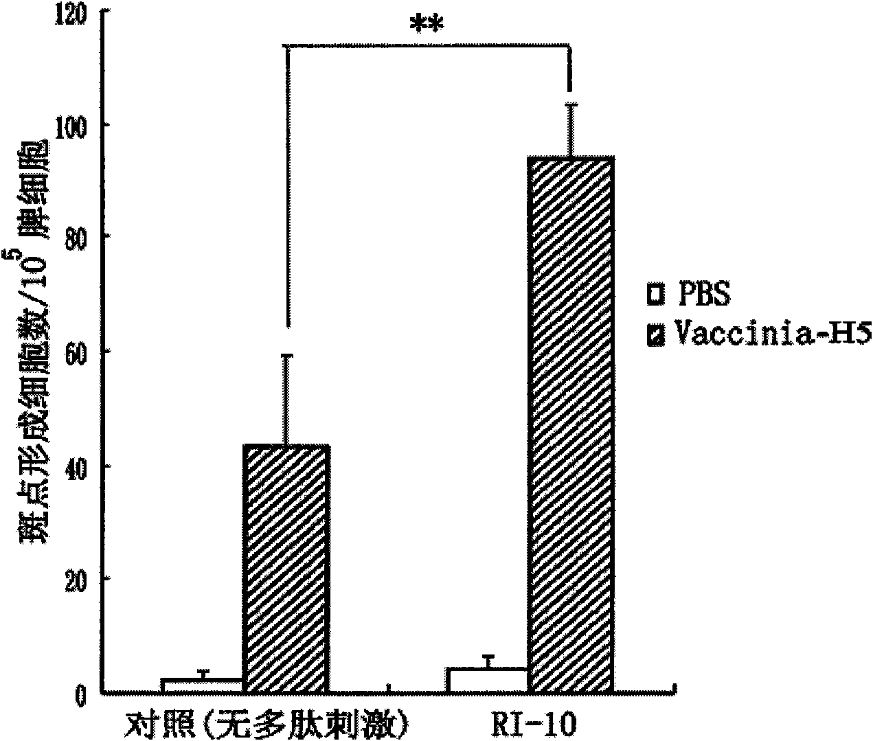 CTL epitope polypeptides of bird flu H5N1 virus and applications thereof