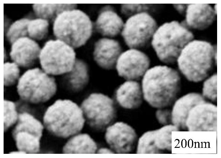 Composite carrier material for biological fluidized bed and preparation method of material