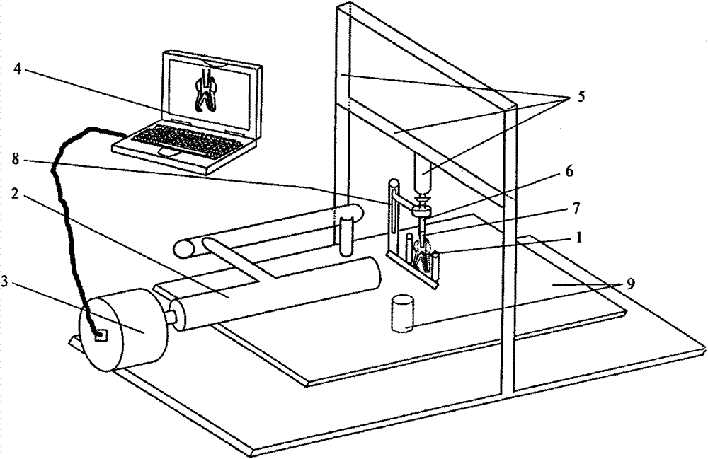 Model device for dynamic detection of root canal flushing effect and detection method thereof