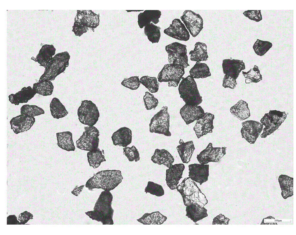 Method for rapidly preparing sheet by powdered phosphorite