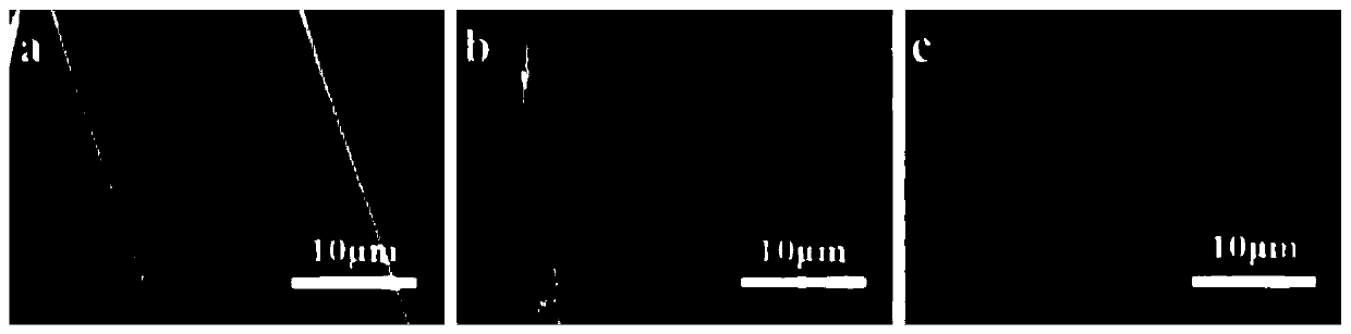 A kind of polymer conductive fabric modified by graphene based on thermal reduction method and its preparation method