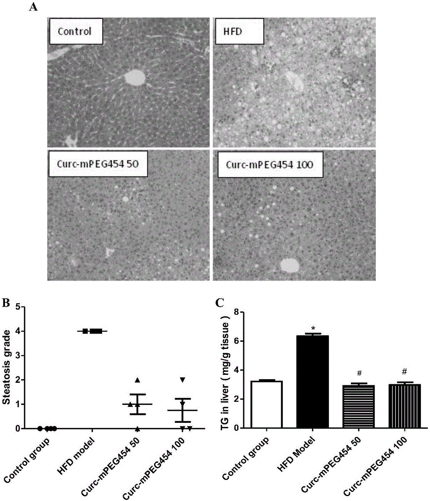 Applications of pegylated curcumin derivative