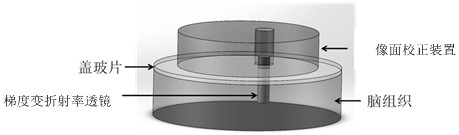 Multiplane Microscopic Imaging System Based on Gradient Variable Index Lens