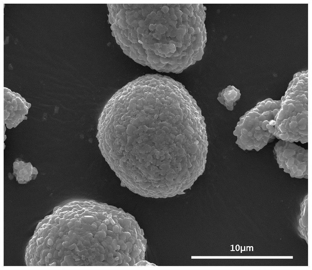 A kind of cathode material of modified lithium ion battery coated with strong electronegative organic layer and preparation method thereof