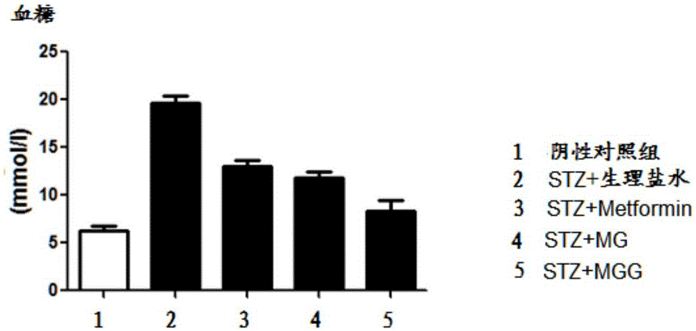 Use of amidation product of glycine and metformin in preparation of drug for treating diabetes