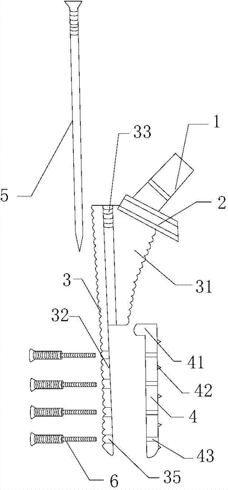 A biological artificial hip joint femoral stem