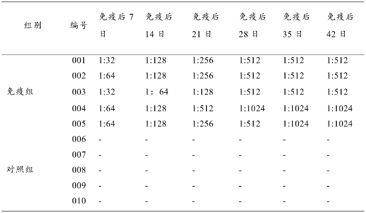 Bivalent inactivated vaccine for pigs, preparation method and application thereof