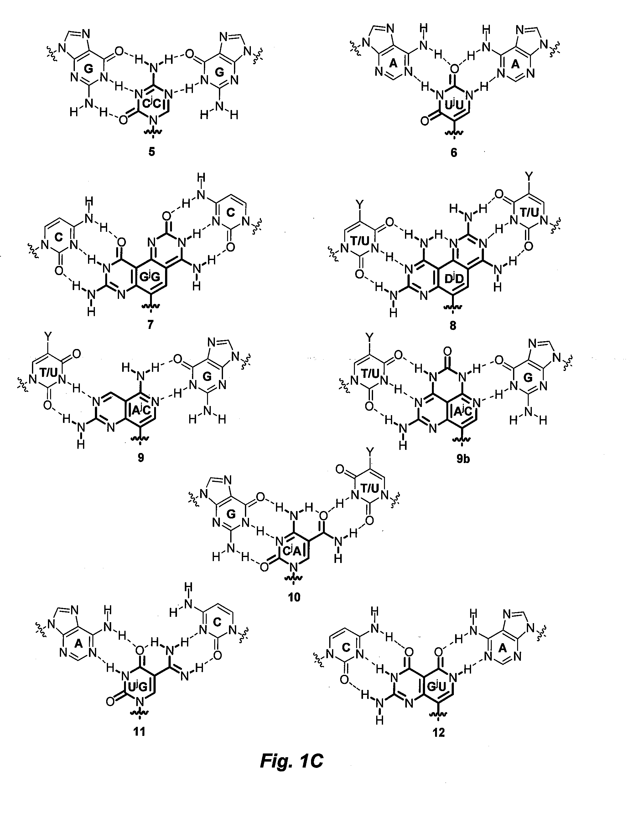 Divalent nucleobase compounds and uses therefor