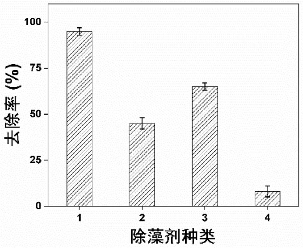 Red tide algae algicide based on myricetin activated persulfate and application of algicide