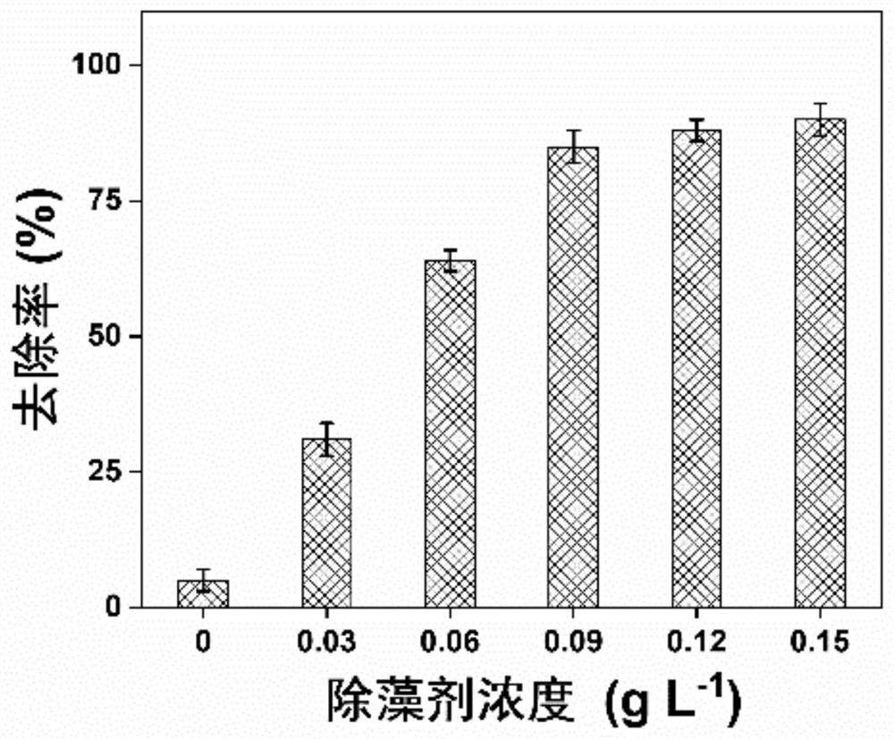 Red tide algae algicide based on myricetin activated persulfate and application of algicide