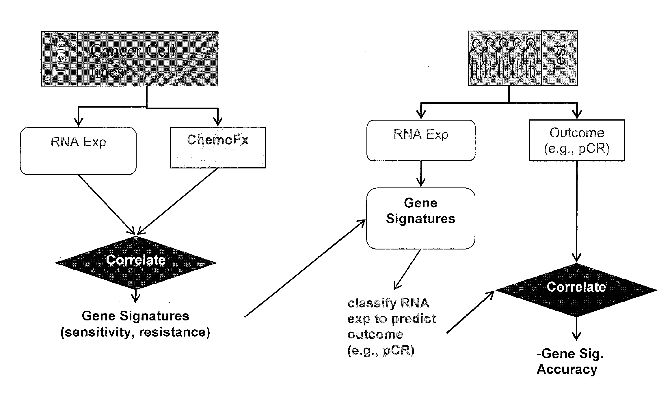 Methods and systems for evaluating the sensitivity or resistance of tumor specimens to chemotherapeutic agents