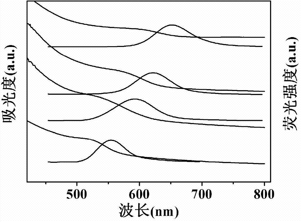 Simple preparation method for synthesizing CdTe quantum dot fluorescence probe at normal temperature and application of CdTe quantum dot fluorescence probe