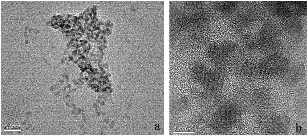 Simple preparation method for synthesizing CdTe quantum dot fluorescence probe at normal temperature and application of CdTe quantum dot fluorescence probe