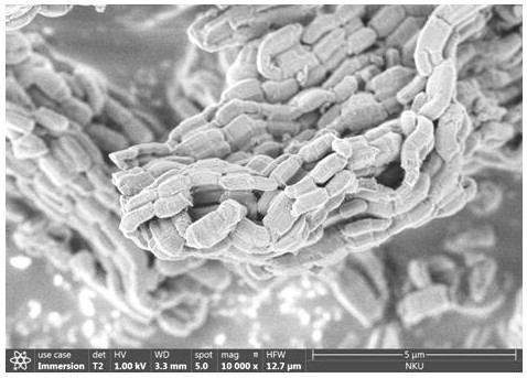 Preparation method of glycoprotein microreactor for boron affinity surface imprinting of mesoporous molecular sieve