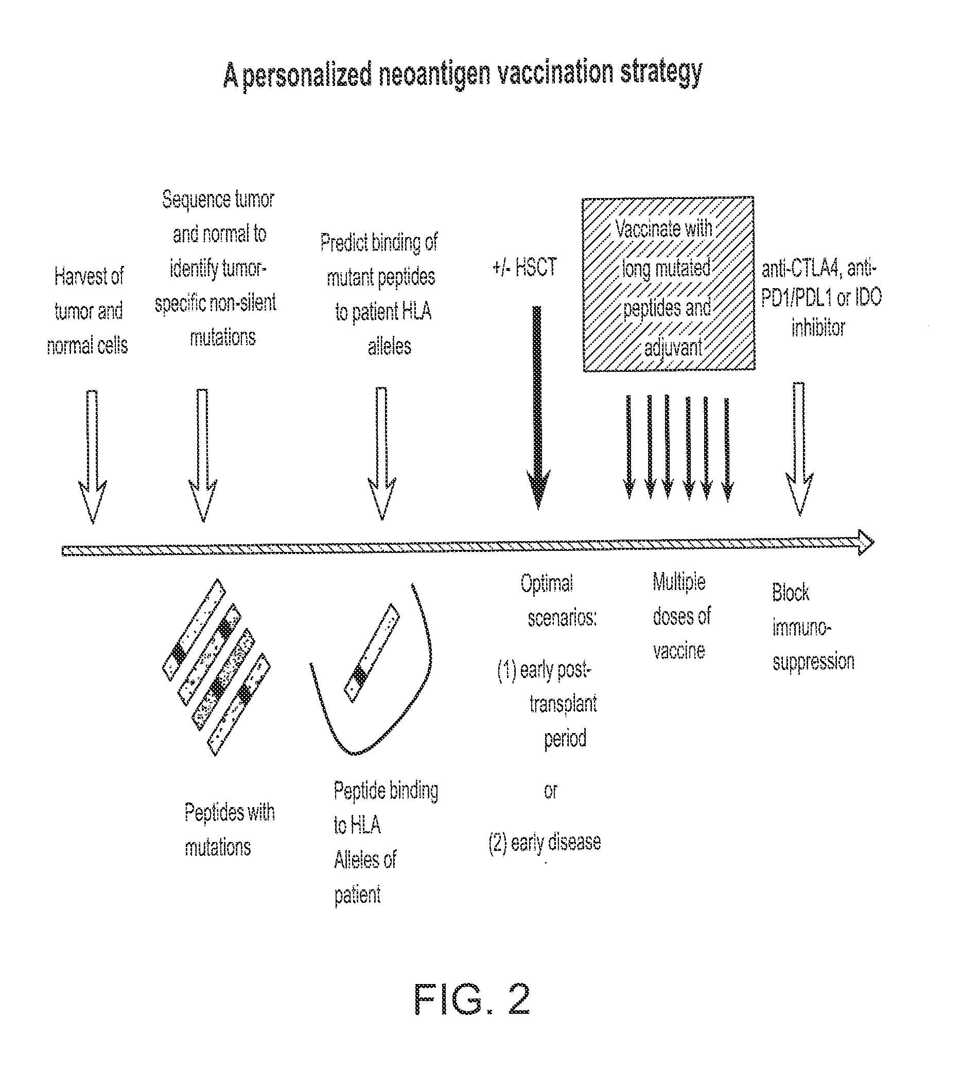 Compositions and methods of identifying tumor specific neoantigens