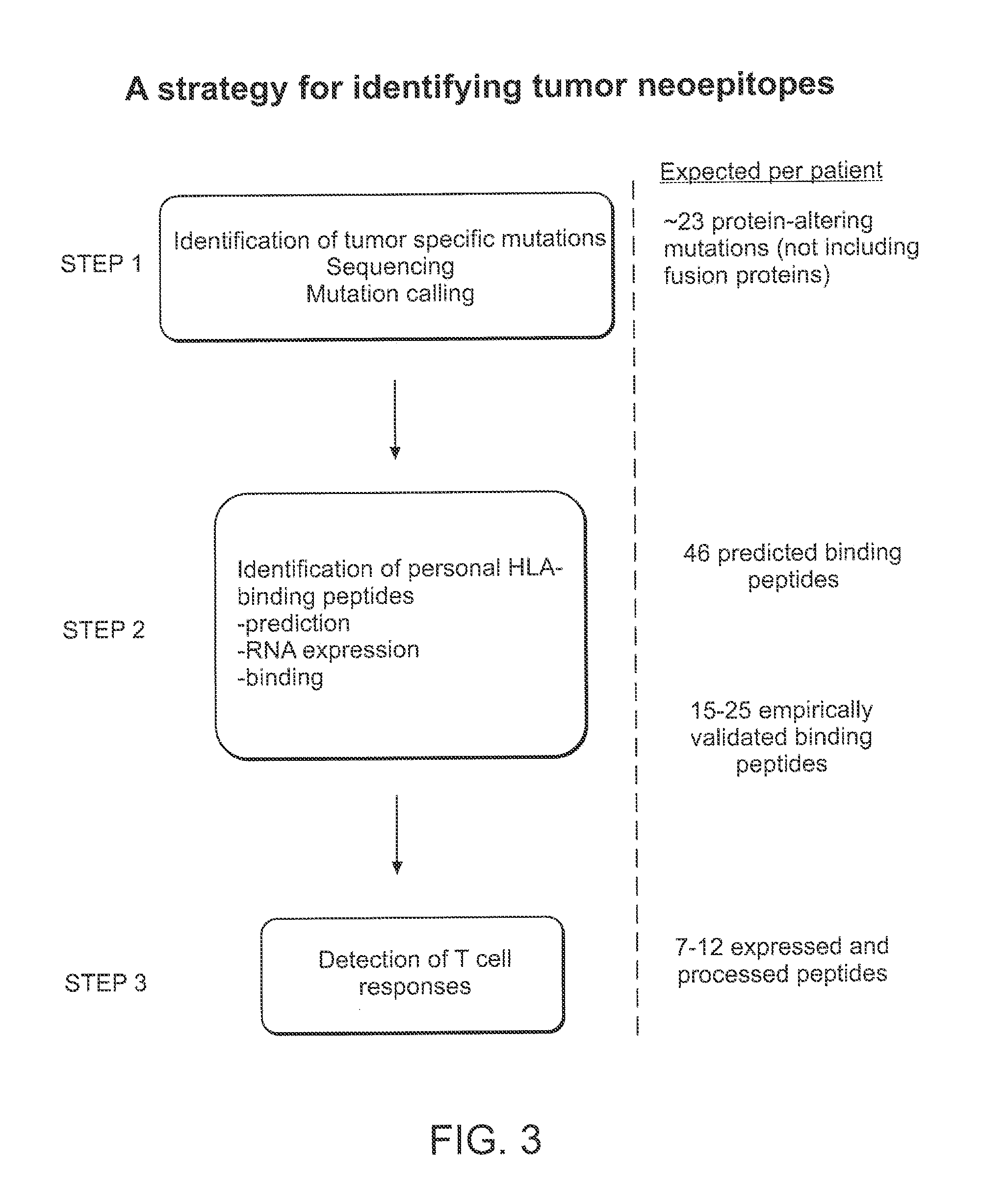 Compositions and methods of identifying tumor specific neoantigens