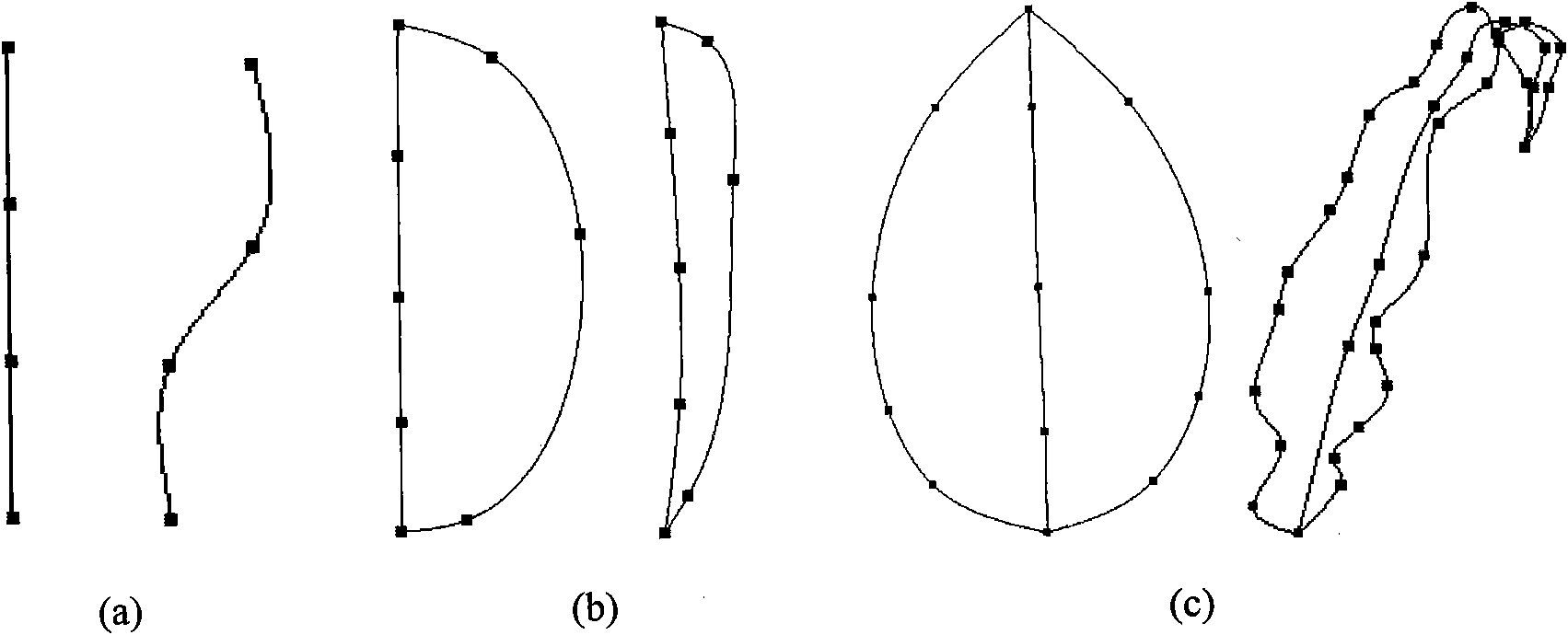 Self-adaptive gridding method and self-adaptive gridding system of geometric curved surfaces of three-dimensional plant organs