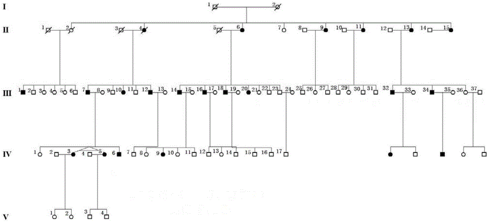 Pathogenic mutant gene of hereditary central areolar retinopathy and detection reagent thereof