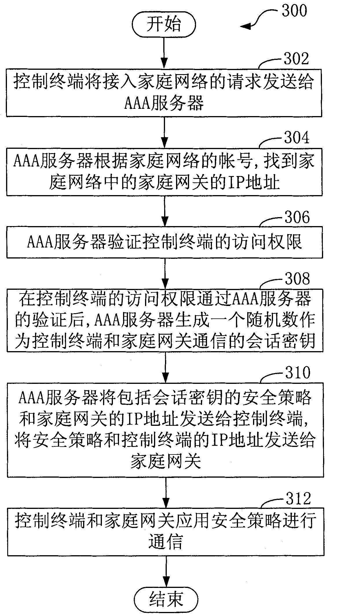 AAA server, home network access method and system