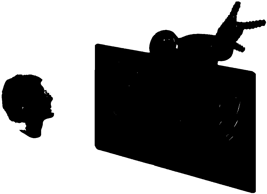 Black-white multi-shape eyelet type naked-view 3D image-displaying film