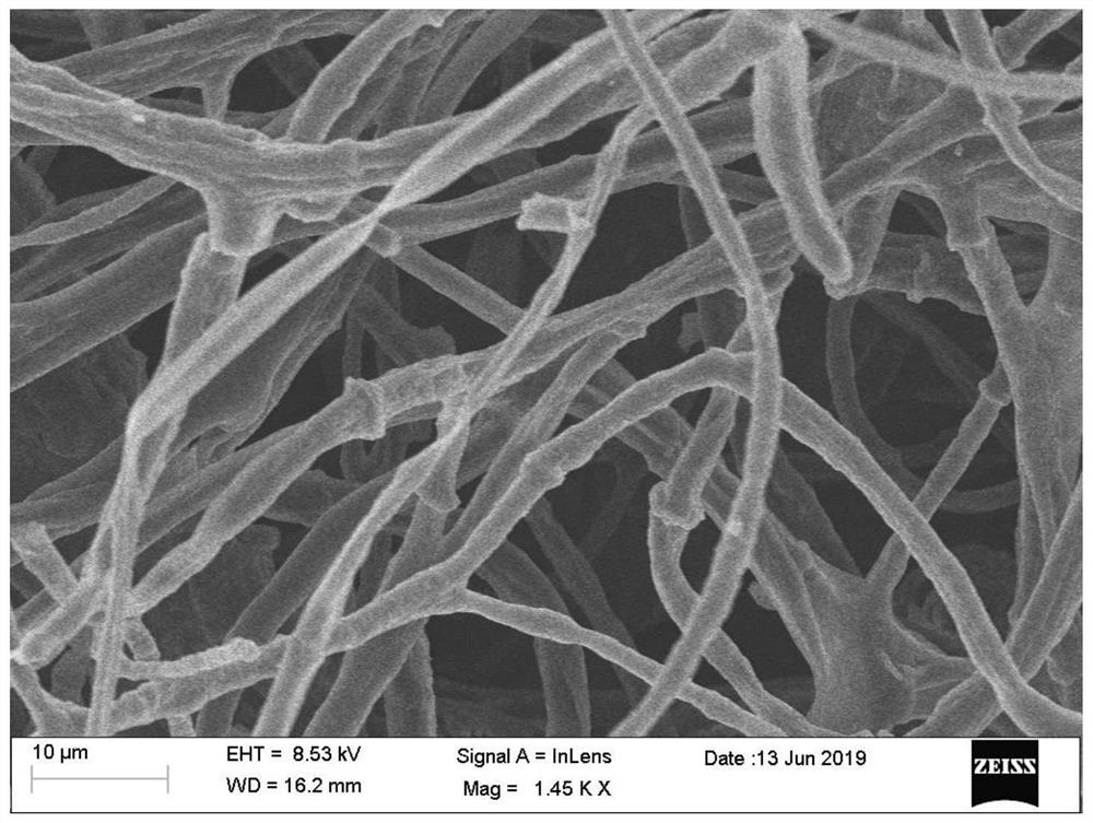 A bioaccumulation preparation method of transition metal monoatomic carbon materials