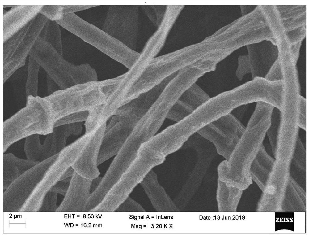 A bioaccumulation preparation method of transition metal monoatomic carbon materials