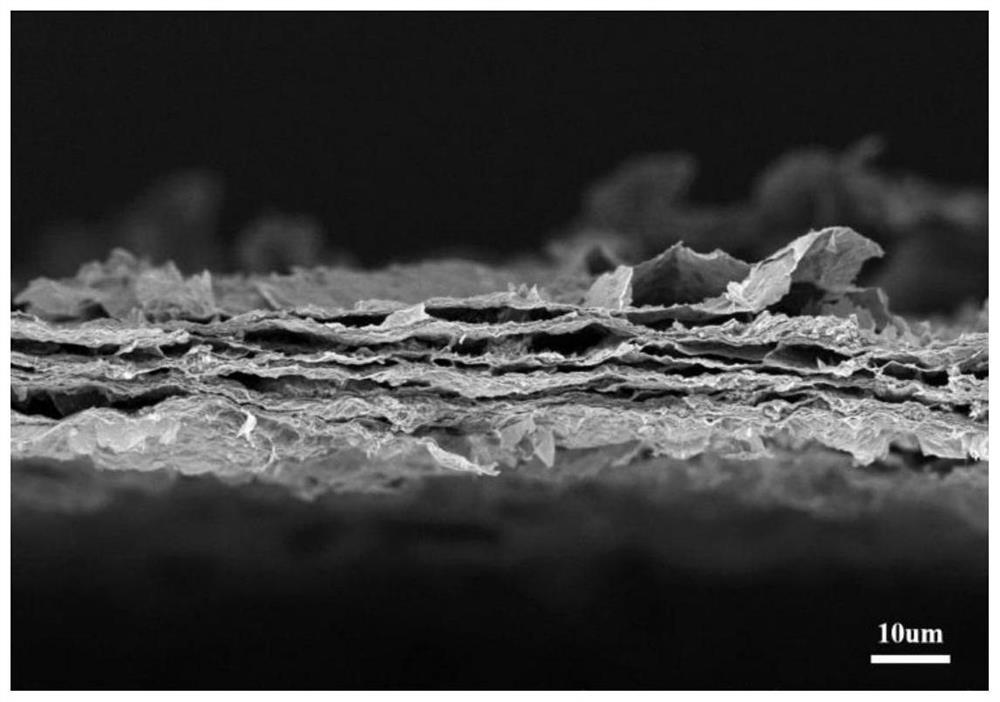 A kind of negative electrode current collector of lithium metal secondary battery and preparation method thereof