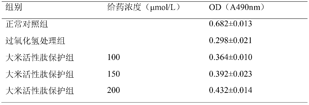 Application of a kind of rice active peptide in the preparation of antioxidant preparation for protecting endothelial progenitor cells