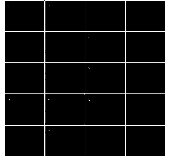 Polypeptide with brain targeted medicine delivery characteristic and preparation method thereof