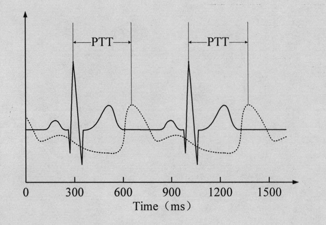 Continuous blood pressure measurer