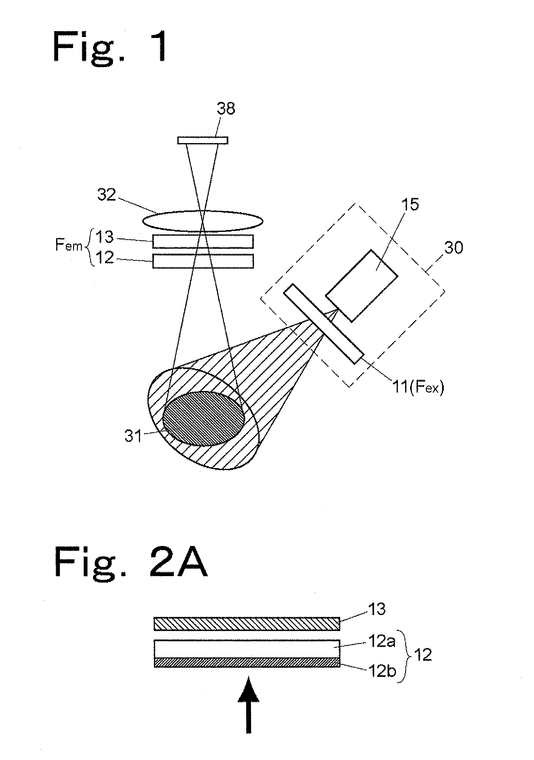 Fluorescence Imaging Apparatus and Method for Detecting Fluorescent Image