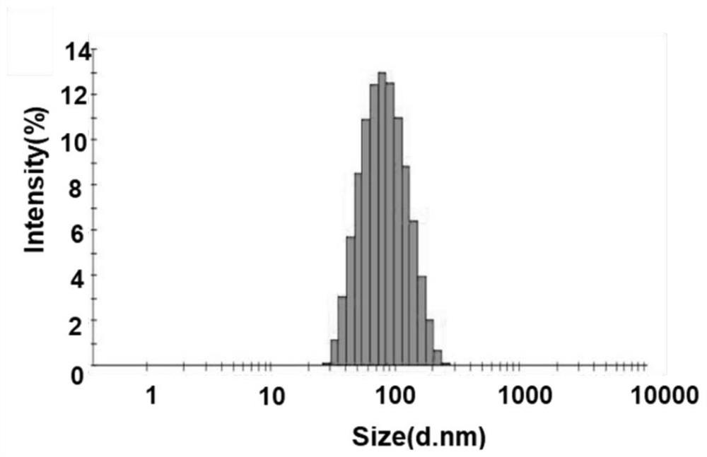 Bionic drug-loaded nanoparticles for specific targeting pulsed electric field ablation postoperative inflammatory region and preparation method thereof