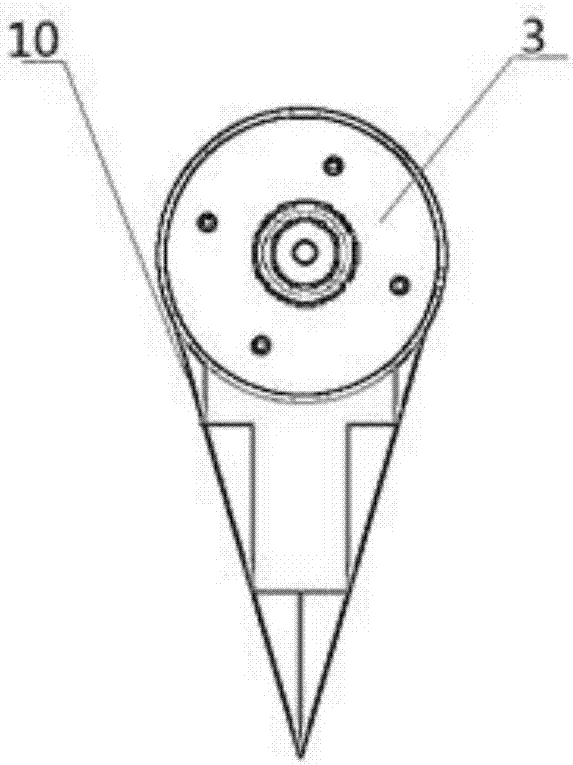 Digital display cylindrical caliper