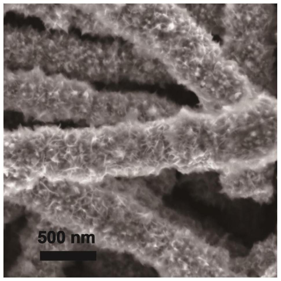 Carbon-coated nickel-based thin film electrode material, preparation method and application thereof