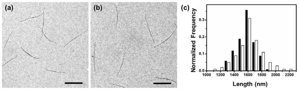 Length-controllable liquid crystal segmented copolymer micelle and preparation method thereof