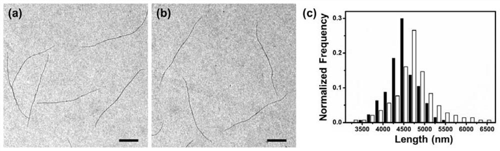 Length-controllable liquid crystal segmented copolymer micelle and preparation method thereof