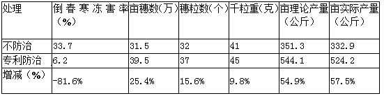 A technique for controlling the harm of winter wheat in late spring