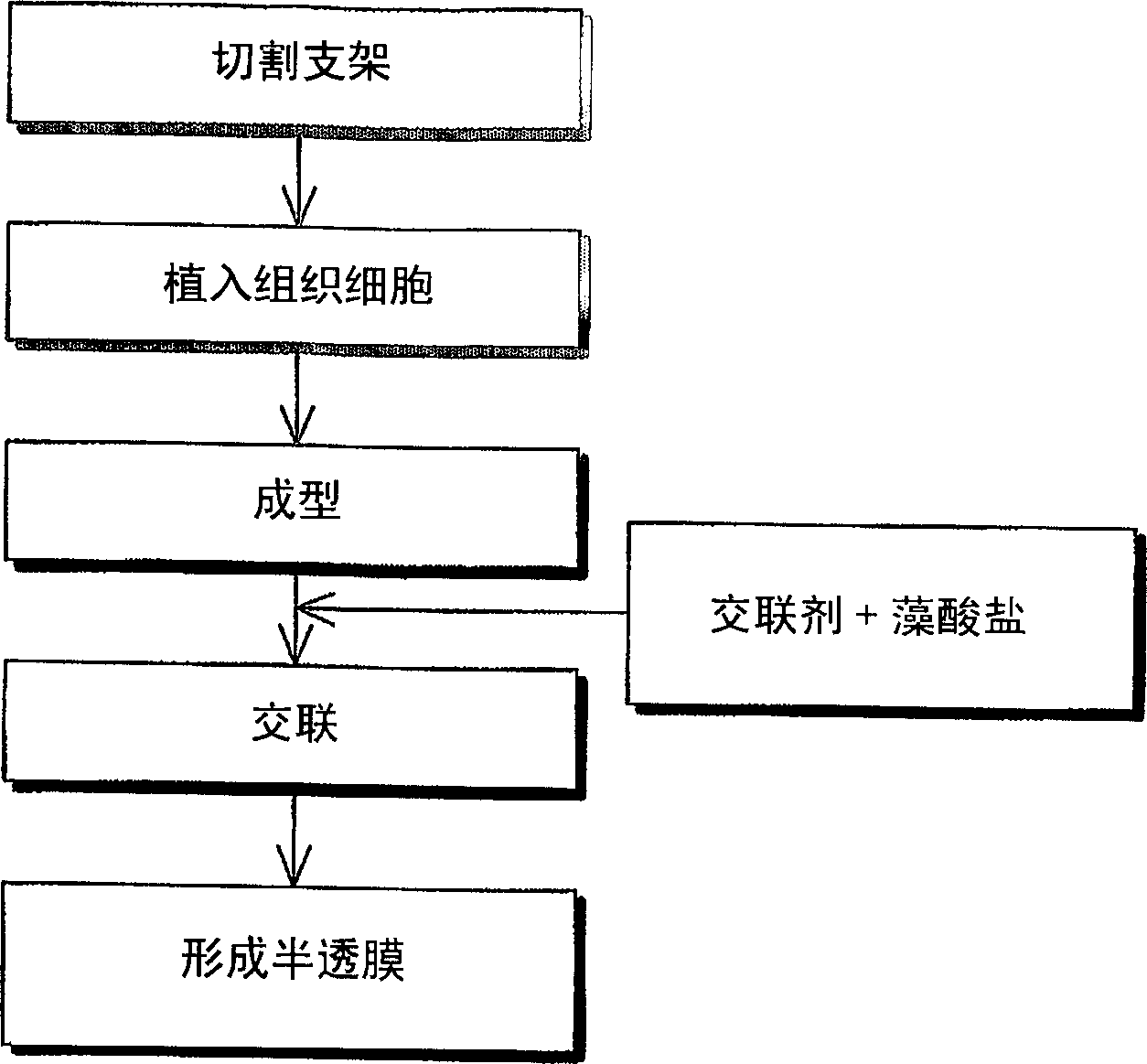 Biodegradable dual porous scaffold wrapped with semi-permeable membrane and tissue cell culture using thereof