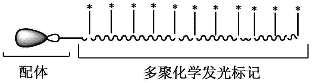 Polymer chemiluminescent labeling reagent as well as preparation method and application of reagent