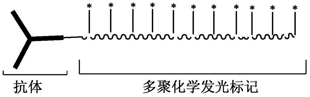 Polymer chemiluminescent labeling reagent as well as preparation method and application of reagent