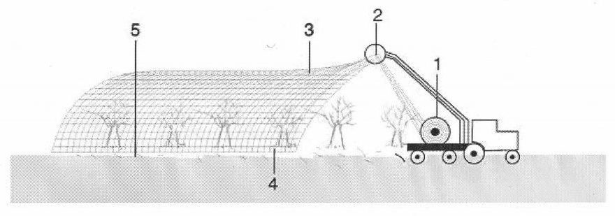 Fruit tree pollination protection method