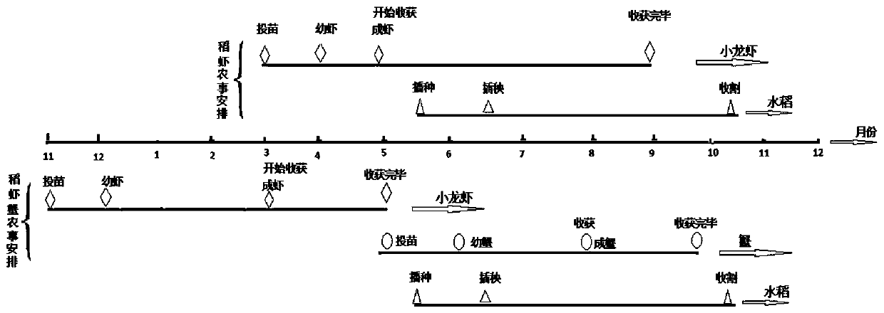 Stereo comprehensive planting and breeding method