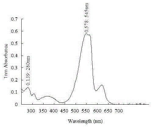 Method for preparing high-purity phycoerythrin through hydrophobic chromatography