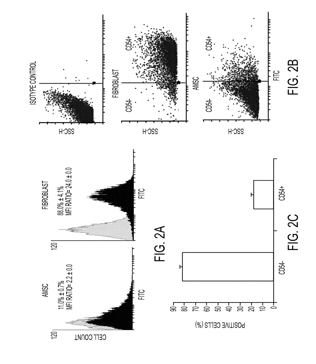 Enhanced differentiation of mesenchymal stem cells