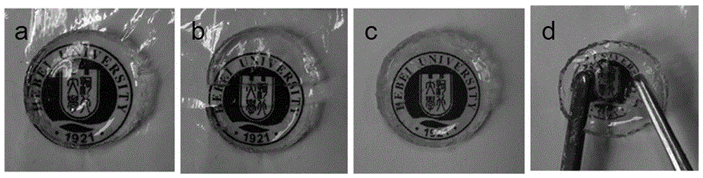 Self-catalyzed repairing hydrogel as well as preparation method and application thereof