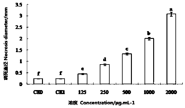 Method used for preventing alien weed Alternanthera philoxeroides with pathogenic fungus