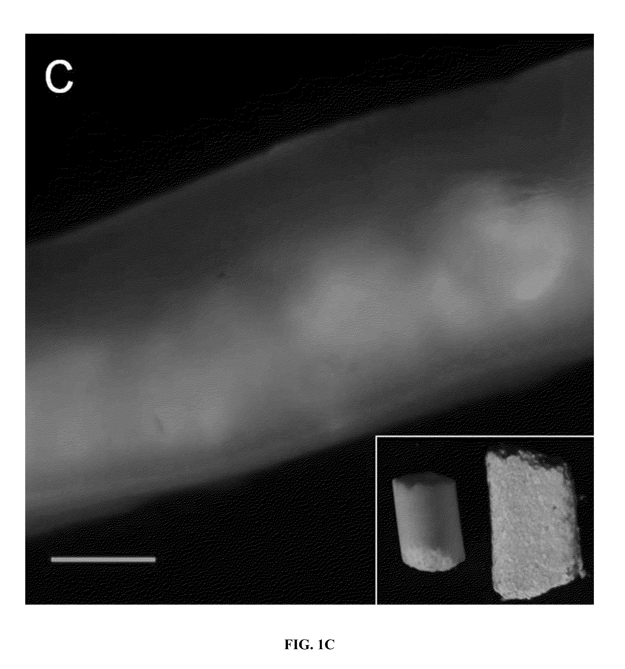 Methods and compositions for non-invasive, dynamic imaging of intestinal motility