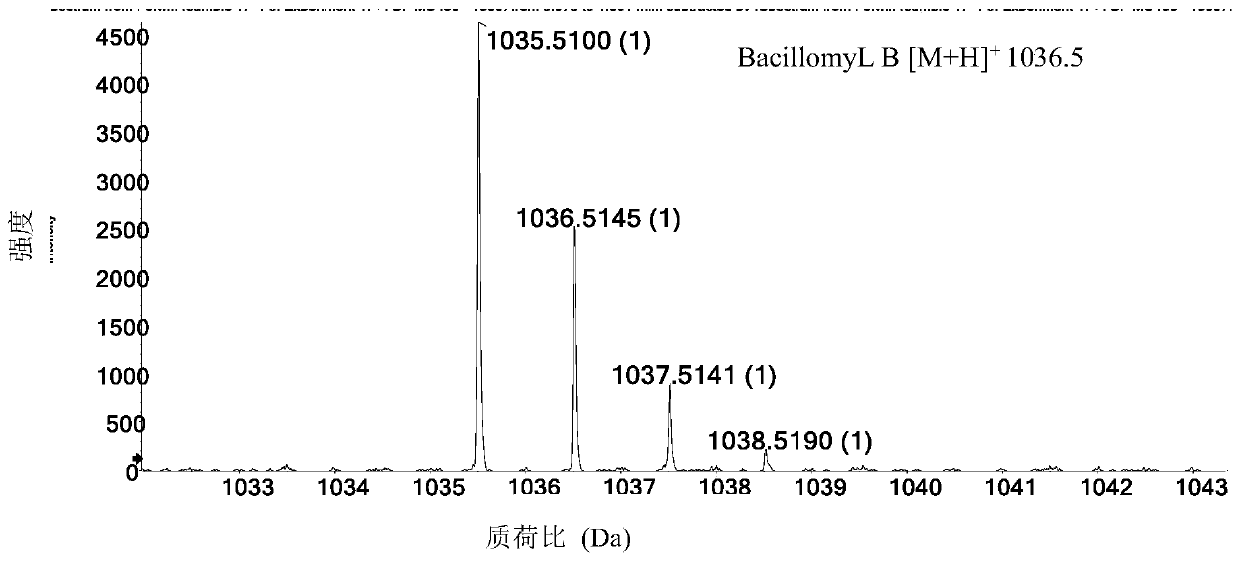 Bacillus subtilis strain and application thereof