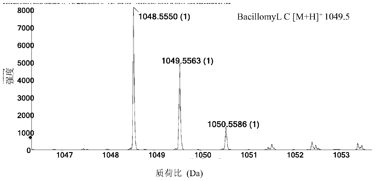 Bacillus subtilis strain and application thereof